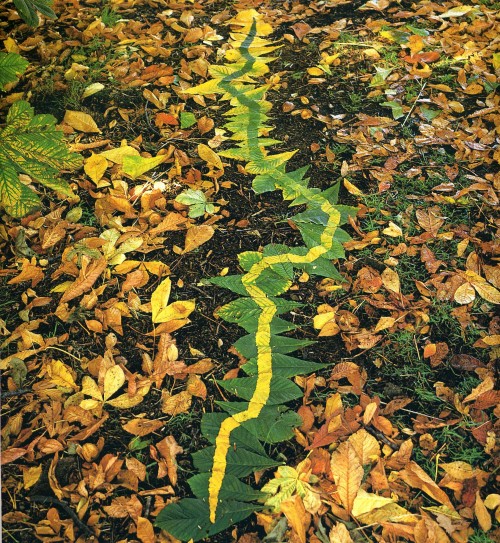 goldsworthy-greentoyellowleaves