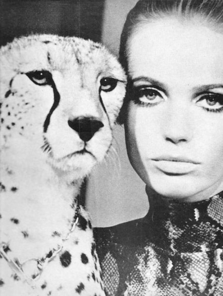 veruschka-cheetah veruschka-cheetah