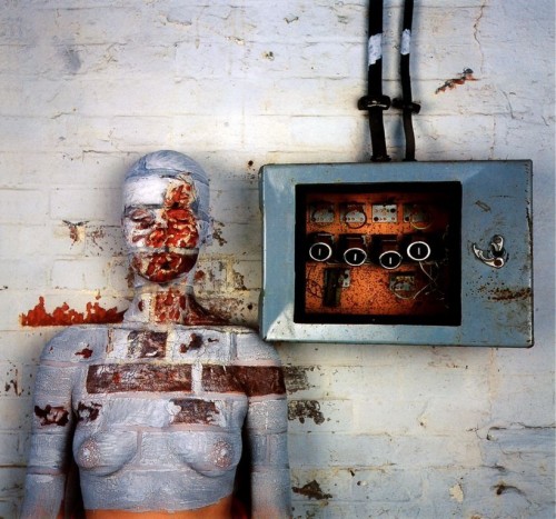 veruschka-electricalbox veruschka-electricalbox