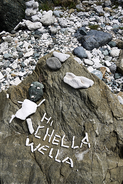islandcottage2_2013_159_drunkbay_chelsea_sm