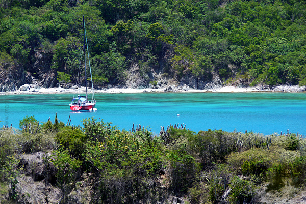 islandcottage2_2013_307_lameshurtrail7_sm