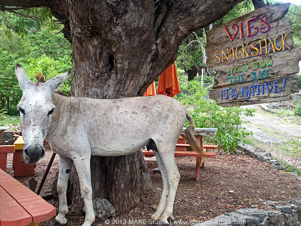 Donkey Greeter