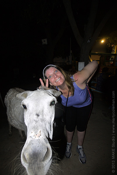 islandcottage_2013_152_skinnylegs-donkey_sm