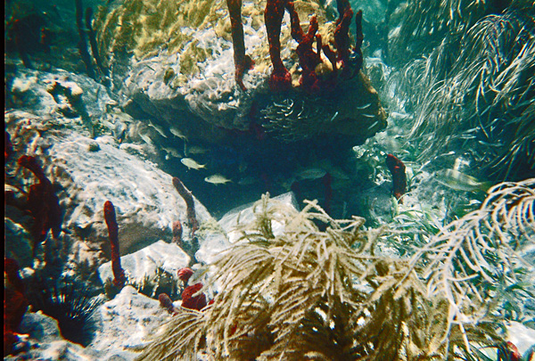 underwater1_sm