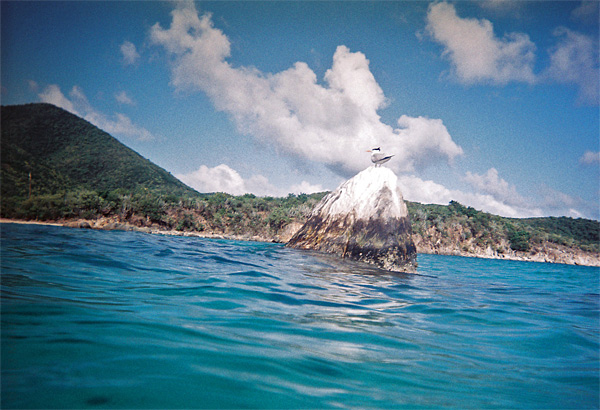 underwater2_birdrockabove_sm
